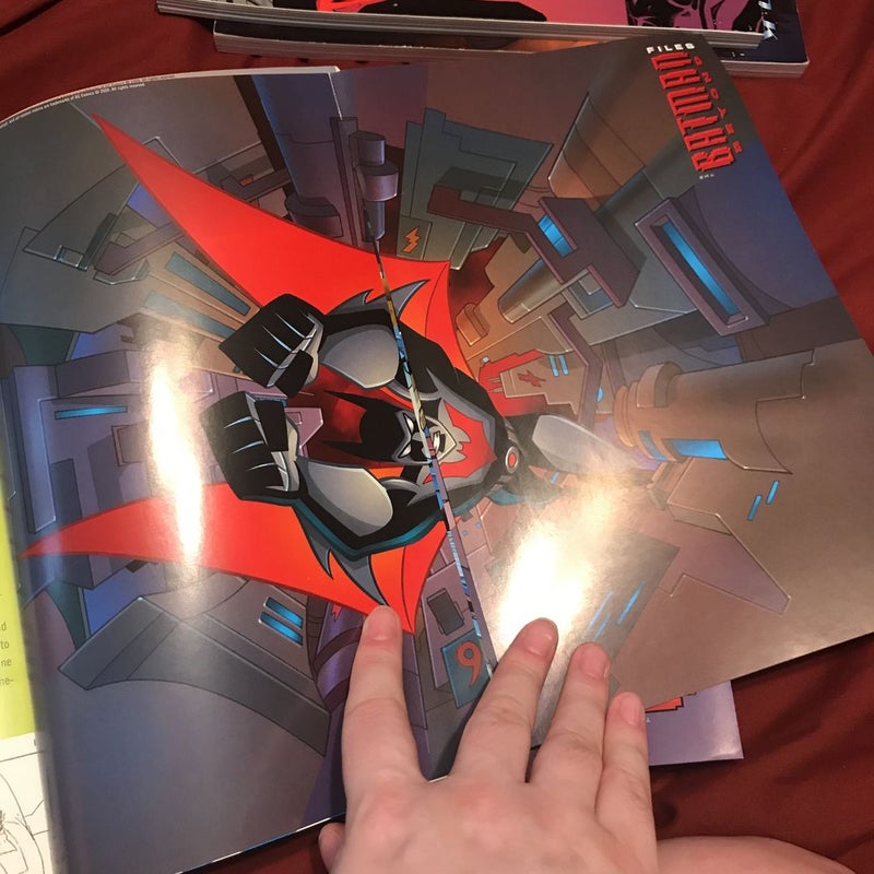 Batman Beyond Files