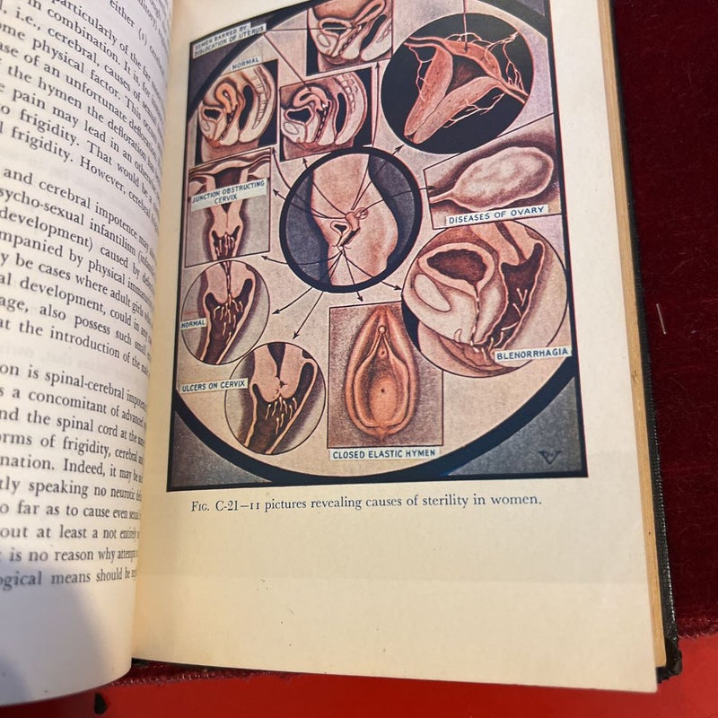 The Illustrated Encyclopedia of Sex