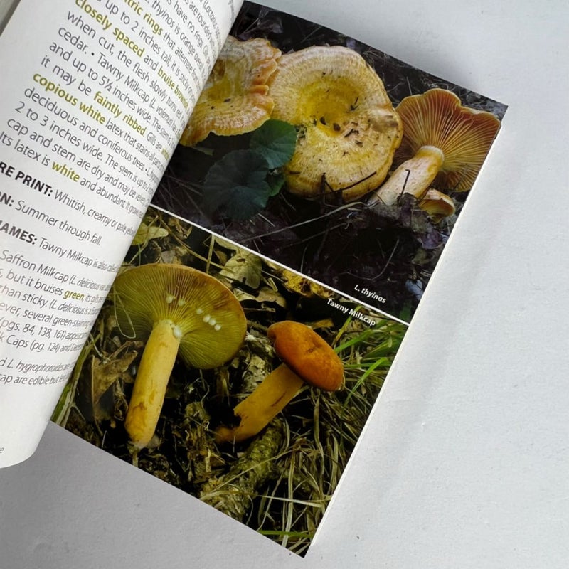 Mushrooms of the Upper Midwest