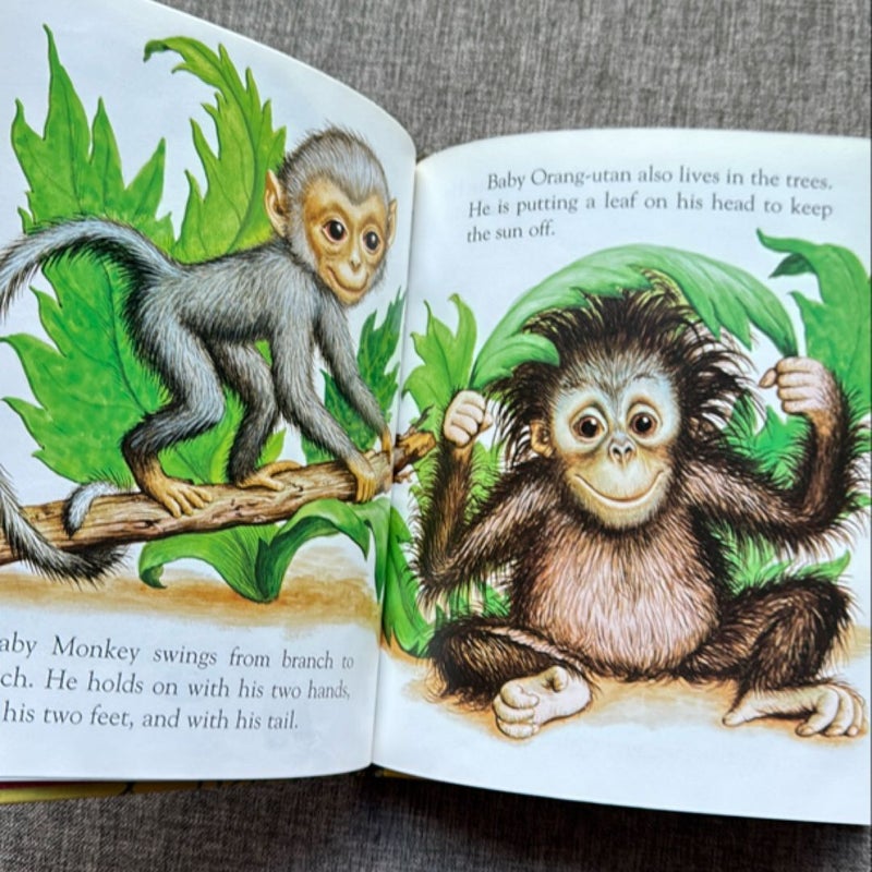 Baby Animals 