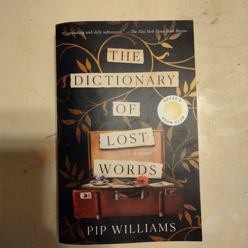 The Dictionary of Lost Words