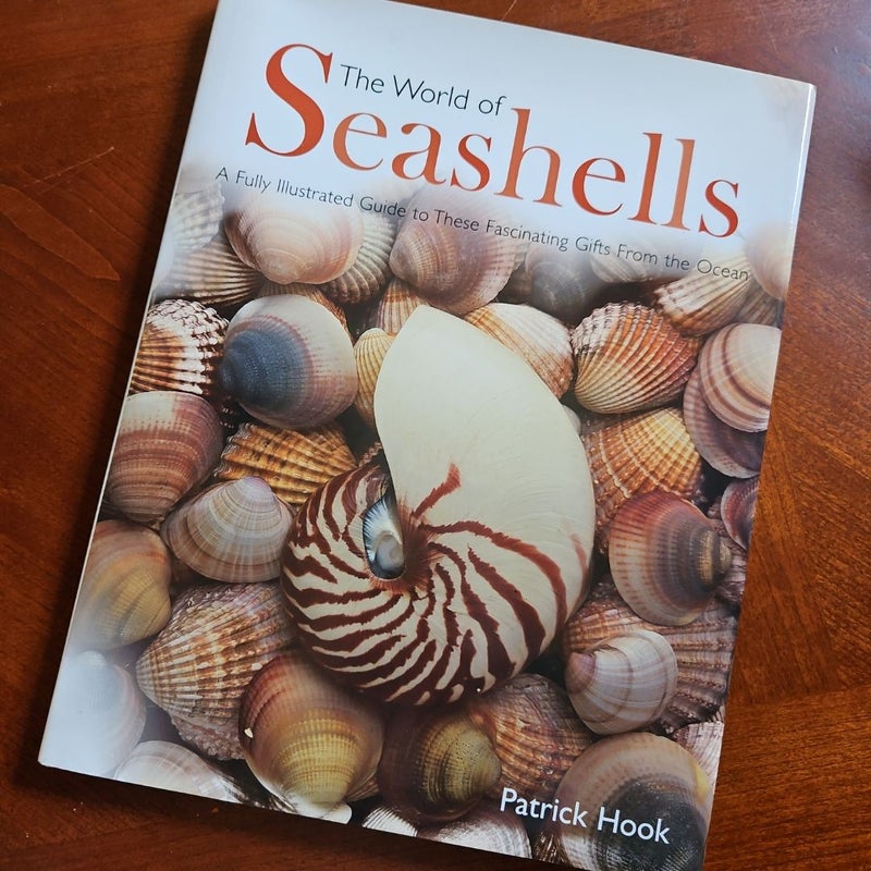 The World of Seashells