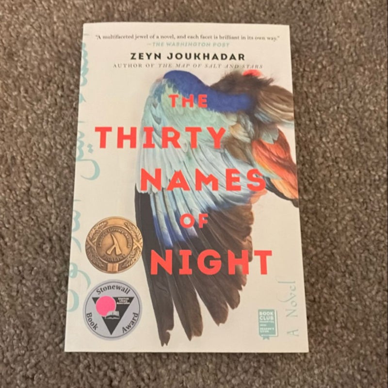 The Thirty Names of Night