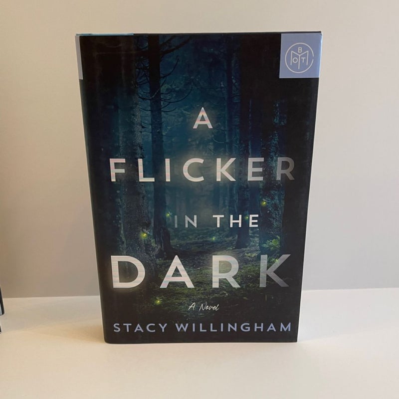 Stacy Willingham BOTM bundle