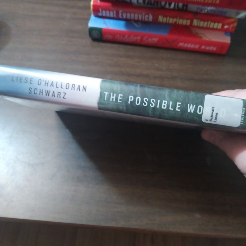 The Possible World