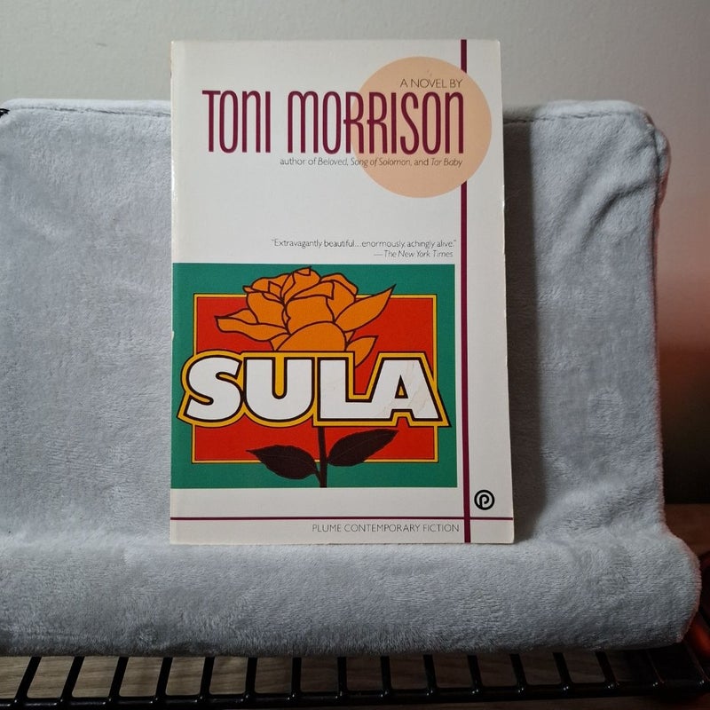 Sula