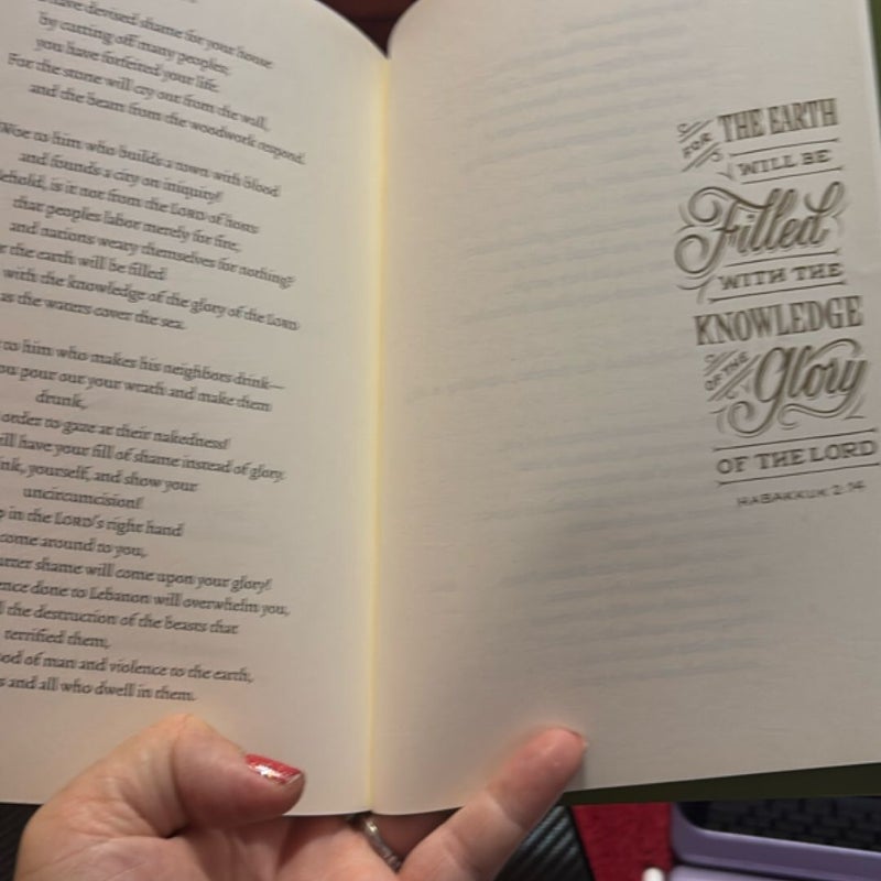 Esv Illuminated scripture journal