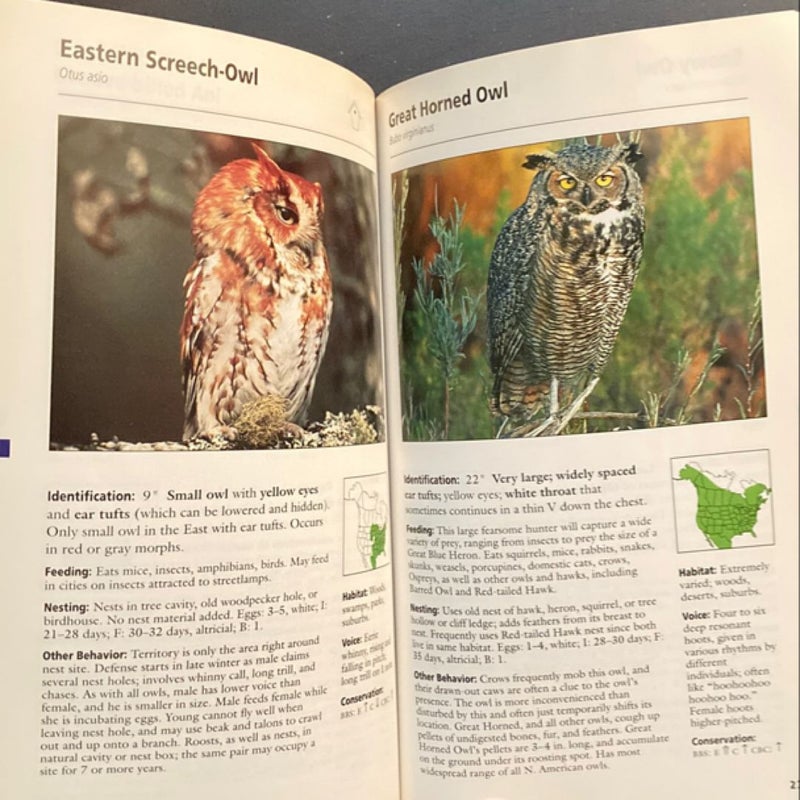 Stokes Field Guide to Birds