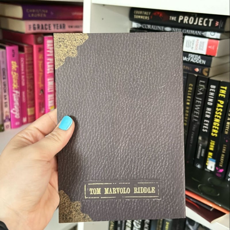 Harry Potter notebooks/journals