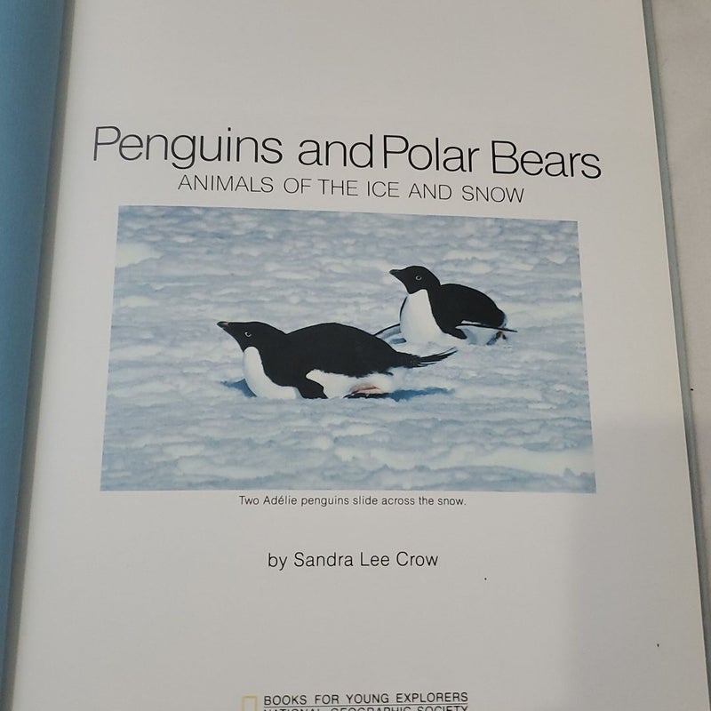 Penguins and Polar Bears