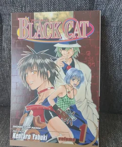Black Cat, Vol. 1