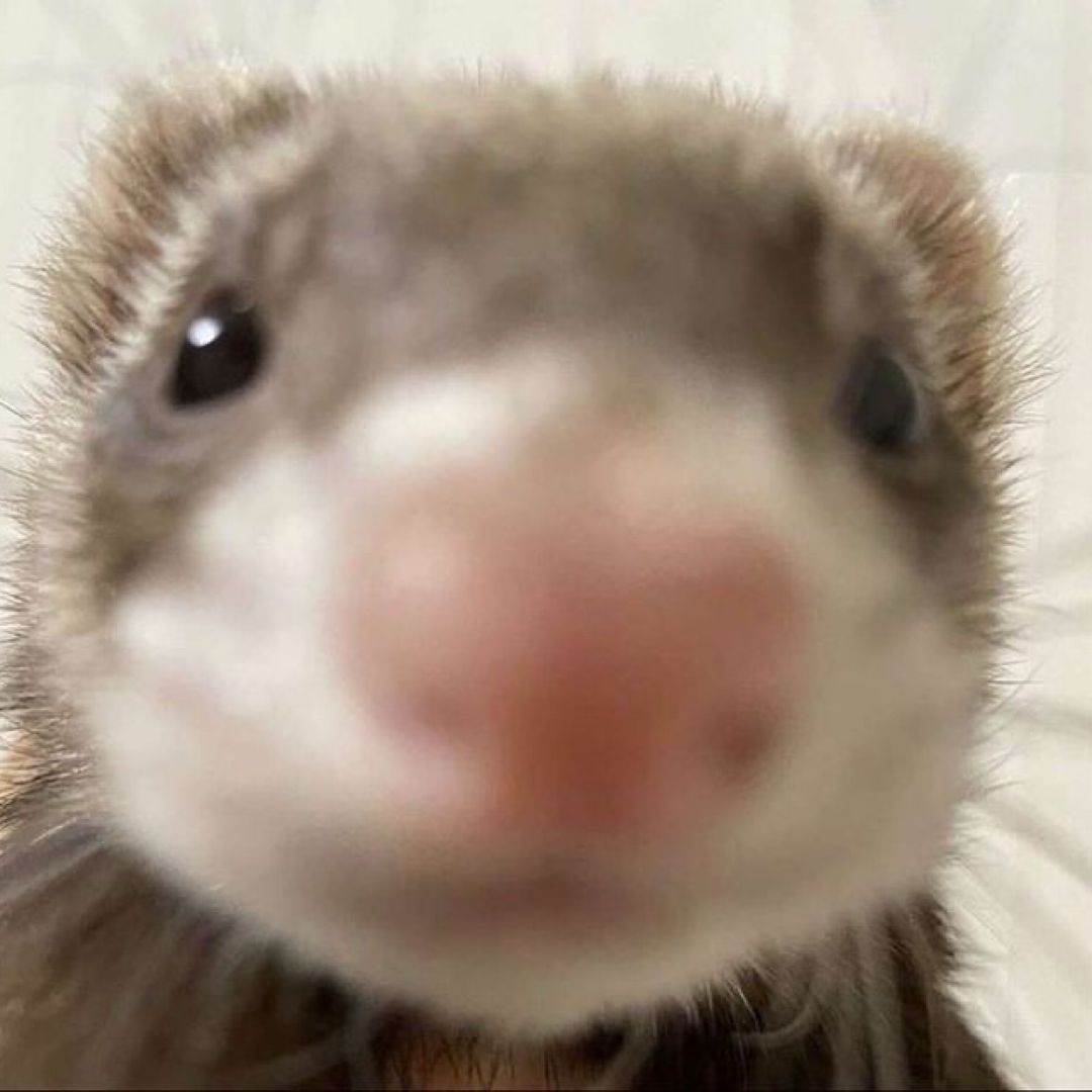 Omnuku’s Book Nook