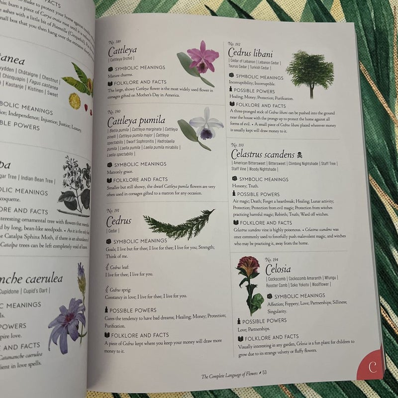 The Complete Language of Flowers (a Definitive and Illustrated History) 