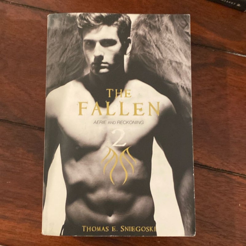 The Fallen 2