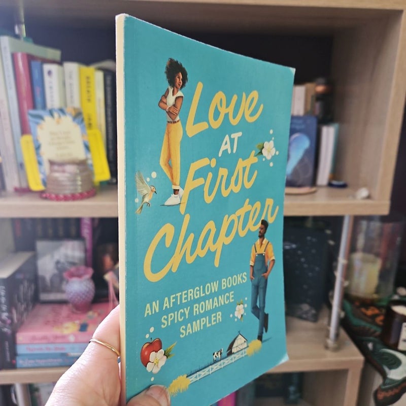 Love at first chapter 