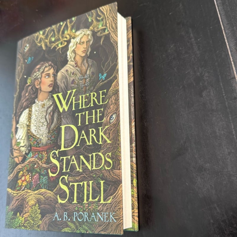 Where the Dark Stands Still