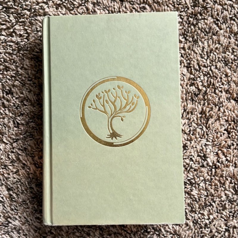 Insurgent first edition hardback