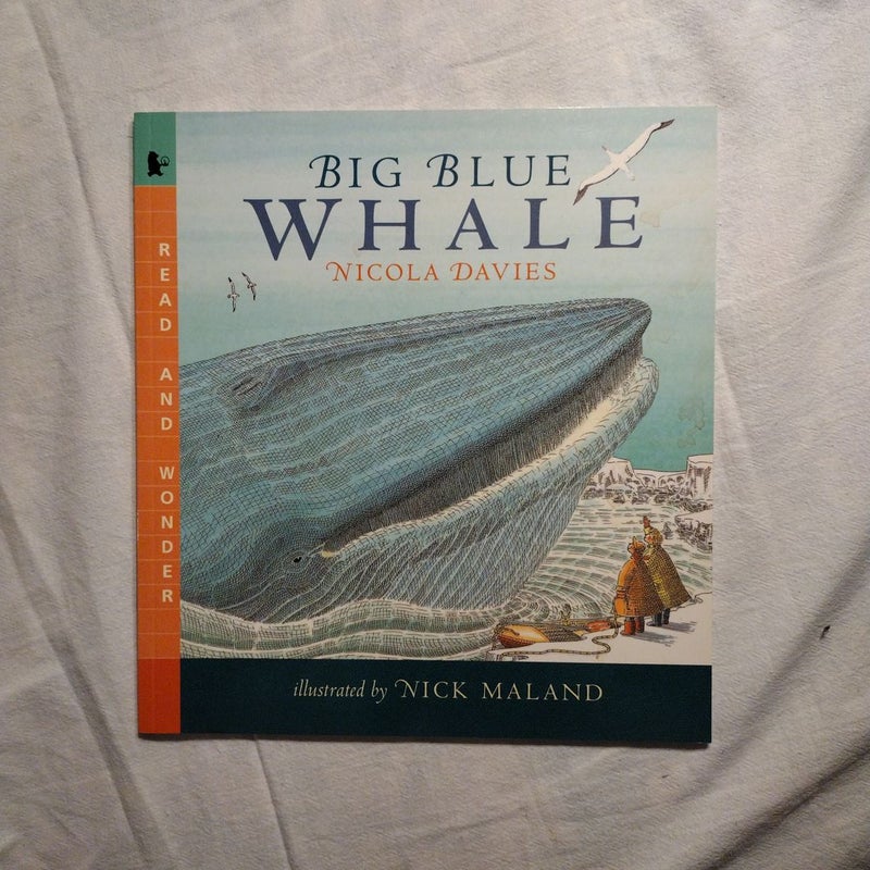 Big Blue Whale by Nicola Davies, Paperback | Pangobooks