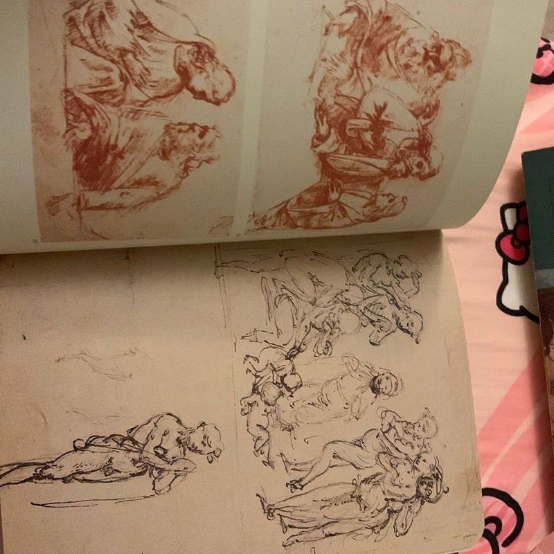 Leonardo's Notebooks