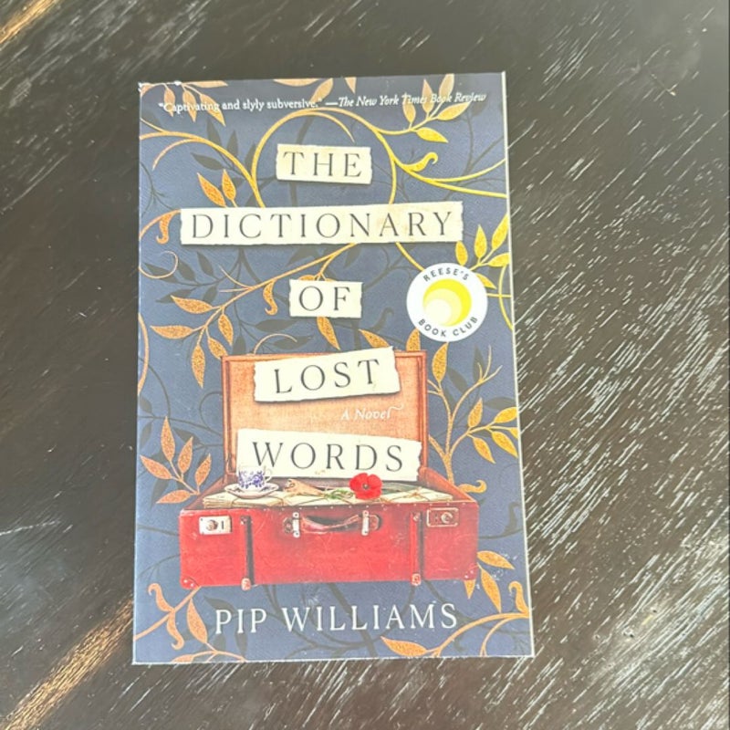 The Dictionary of Lost Words