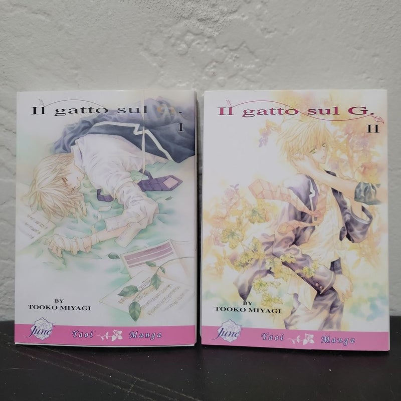 Il Gatto Sul G Volumes 1 + 2 (yaoi) manga