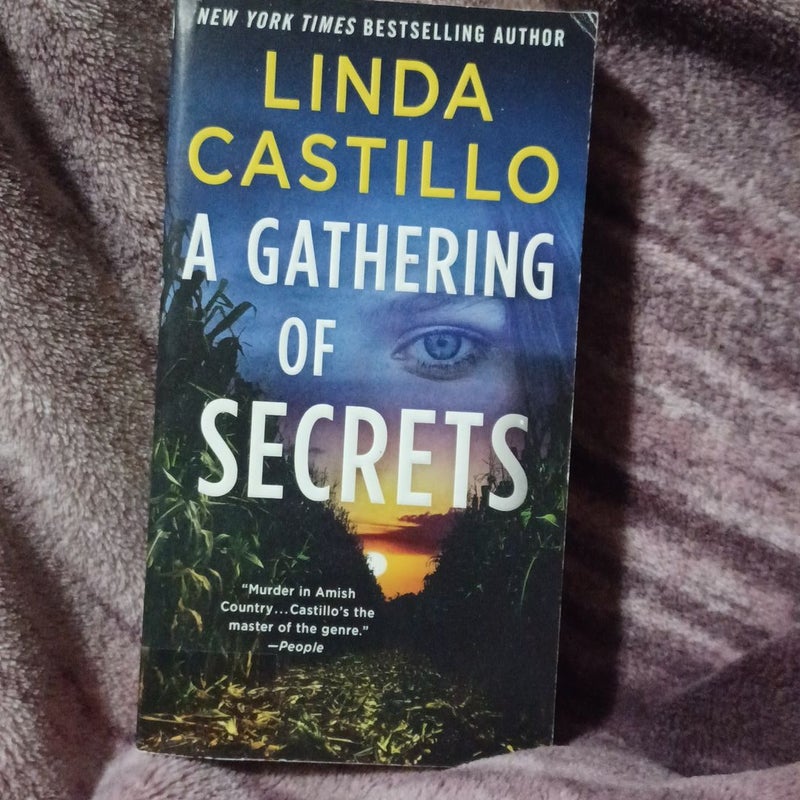 A Gathering of Secrets