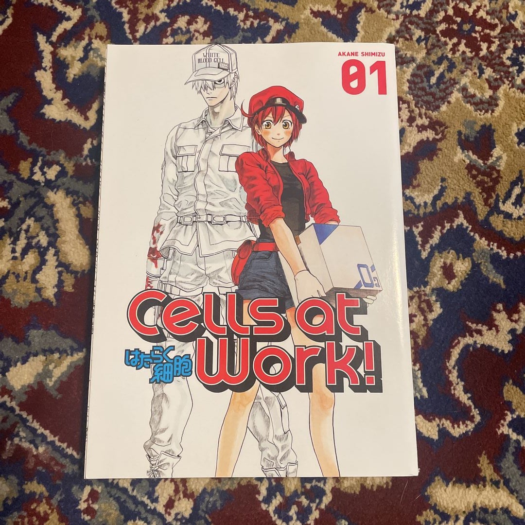  Cells at Work! 1: 9781632363565: Shimizu, Akane: Books