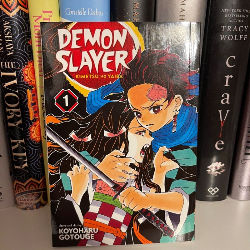 Demon Slayer: Kimetsu No Yaiba, Vol. 1