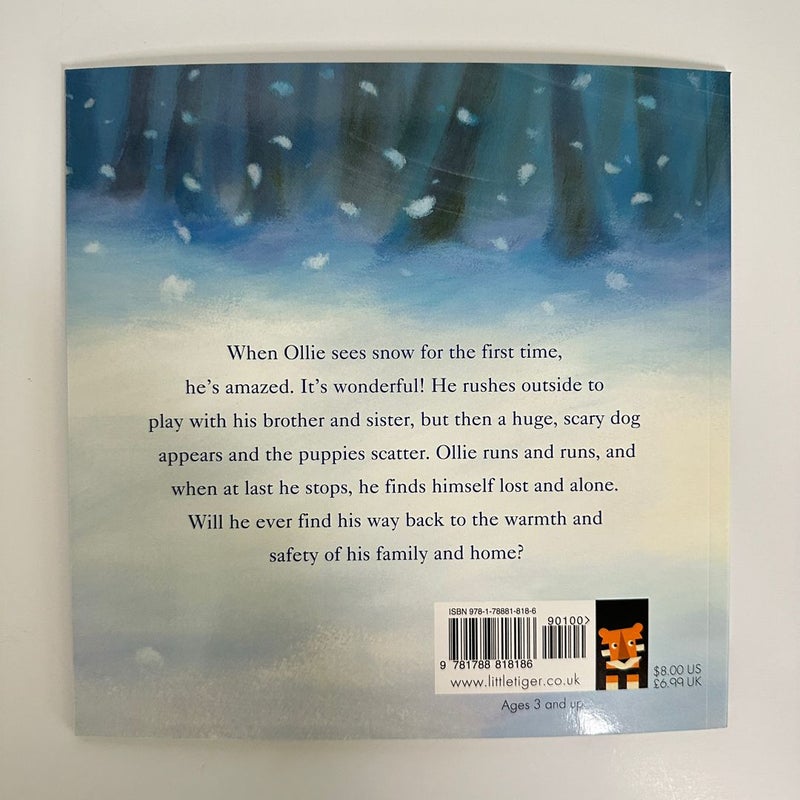Lost in the Snow, New