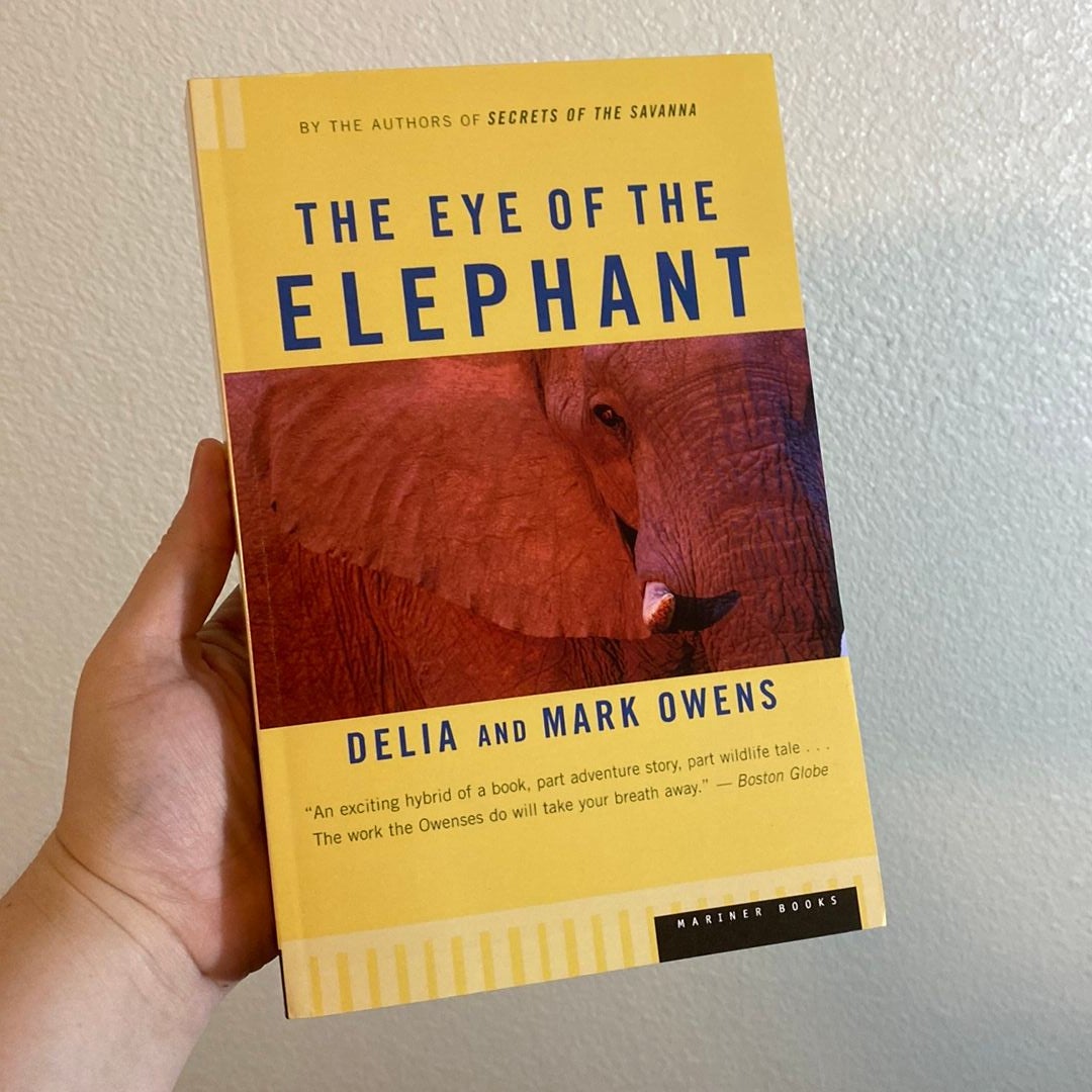 The Eye of the Elephant