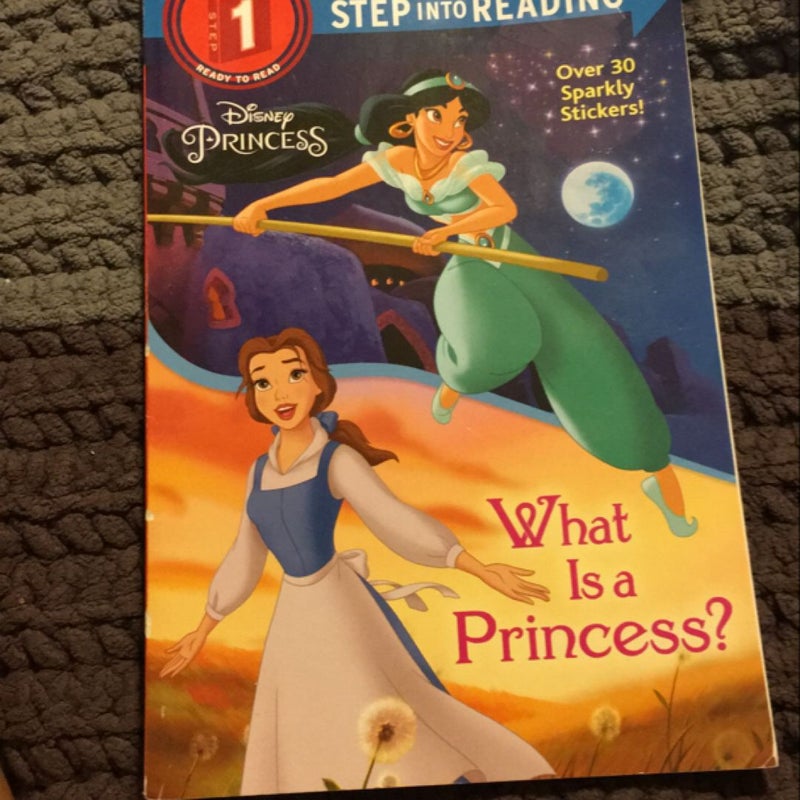 What Is a Princess? (Disney Princess)
