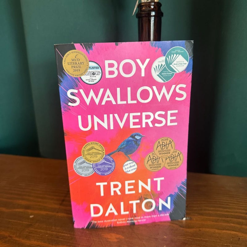 Boy Swallows Universe