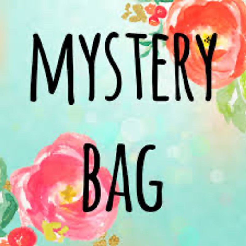 2 book mystery bag 
