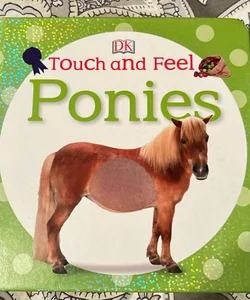 Touch and Feel: Ponies