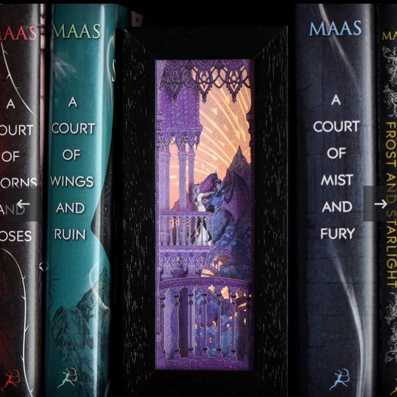 LITJOY- ACOTAR BOOKSHELF ALLEY