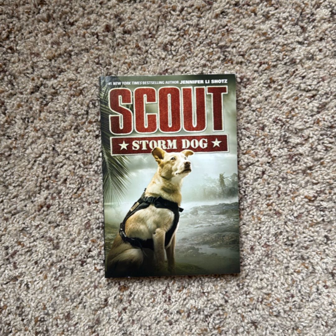 Scout: Storm Dog