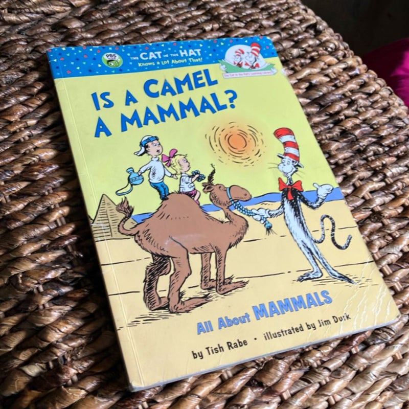 Is a Camel a Mammal?