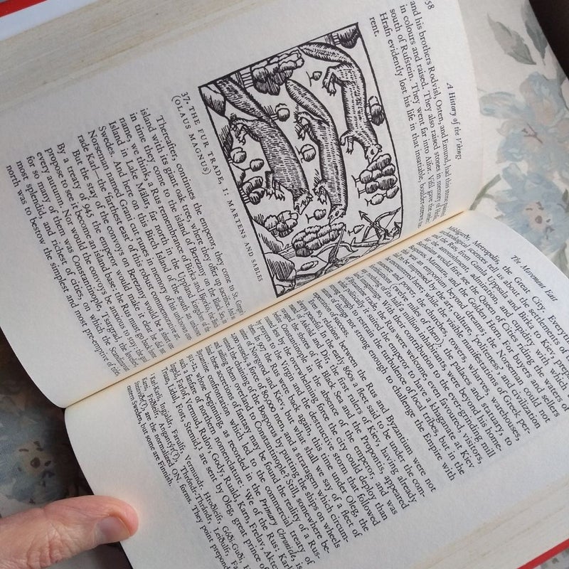 A History of the Vikings
