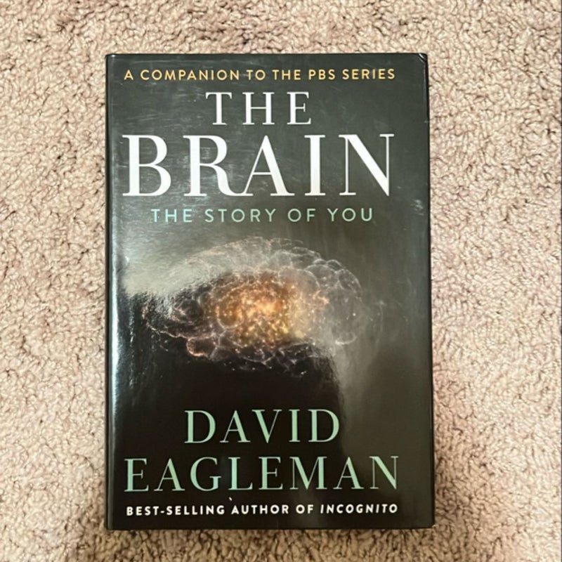 The Brain