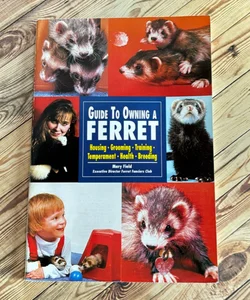 Guide to owning a ferret