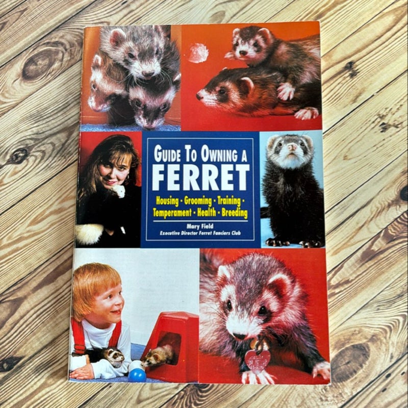 Guide to owning a ferret