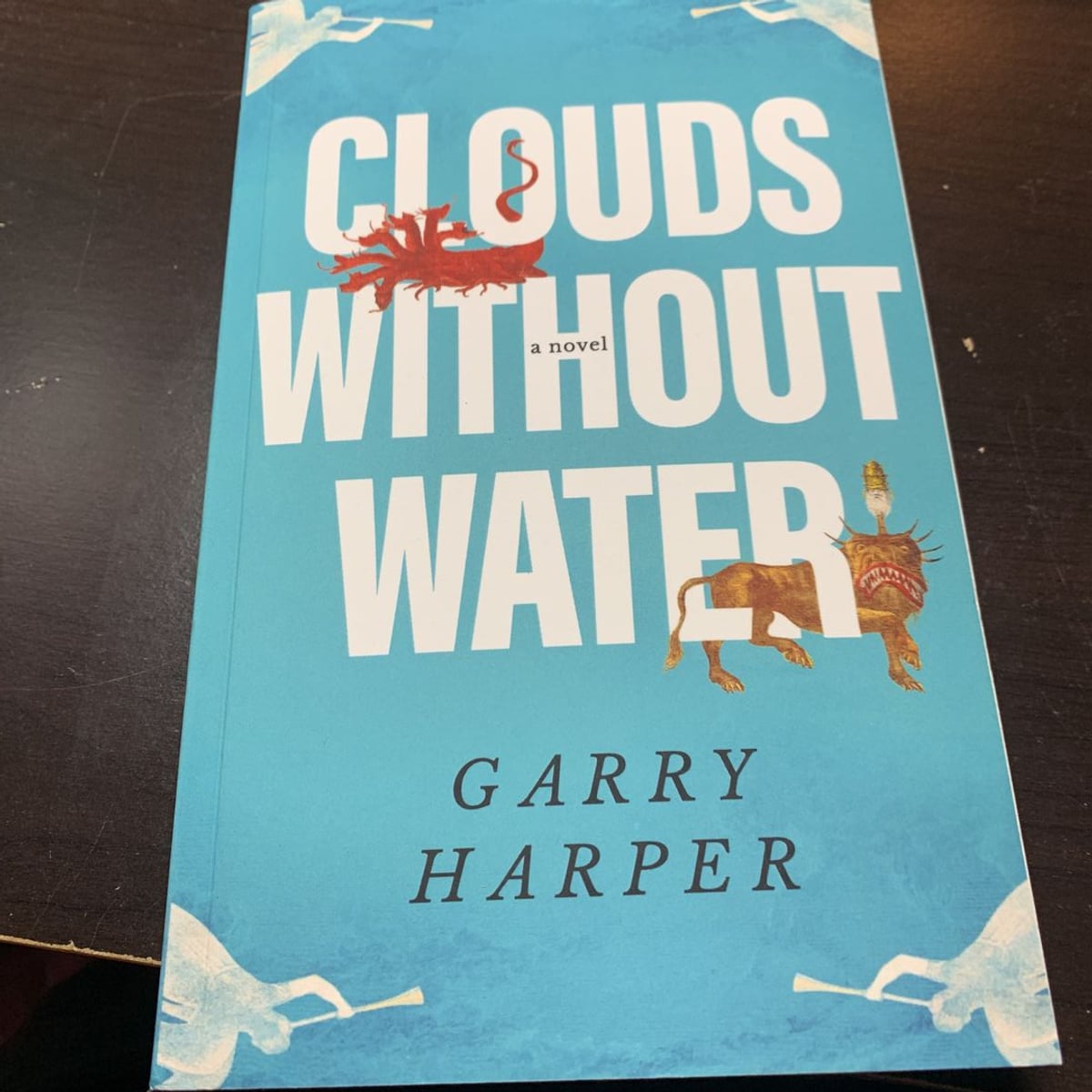 Clouds without water by garry harper paperback pangobooks