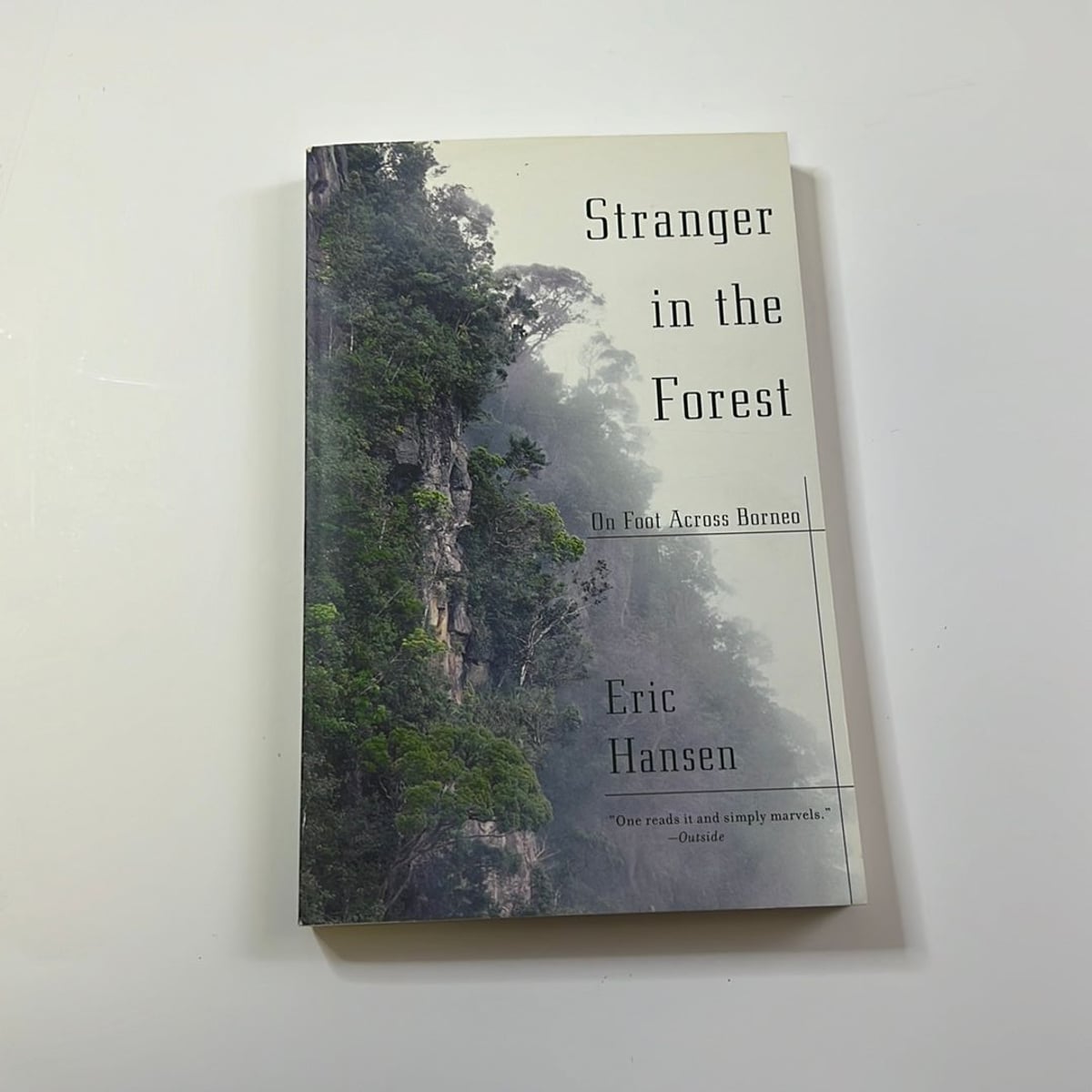 Stranger in the Forest by Eric Hansen, Paperback | Pangobooks