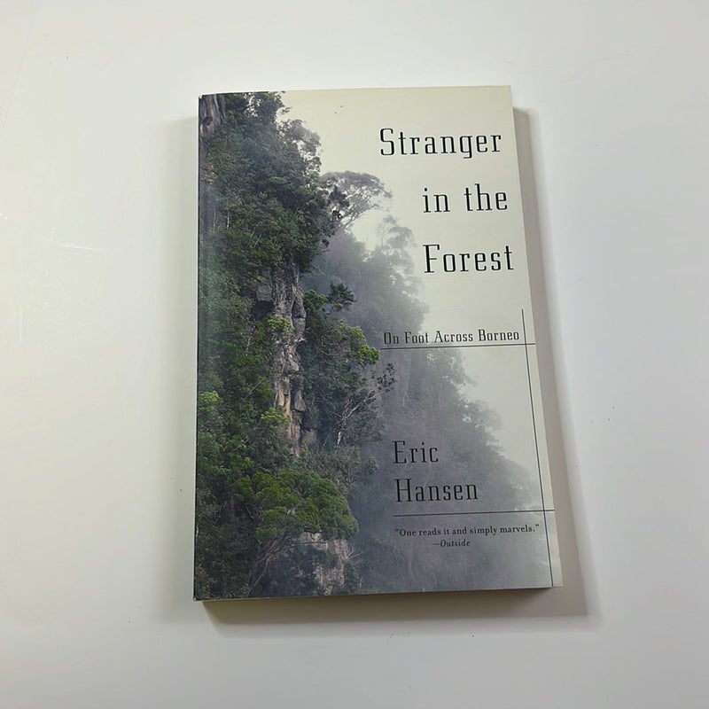 Stranger in the Forest