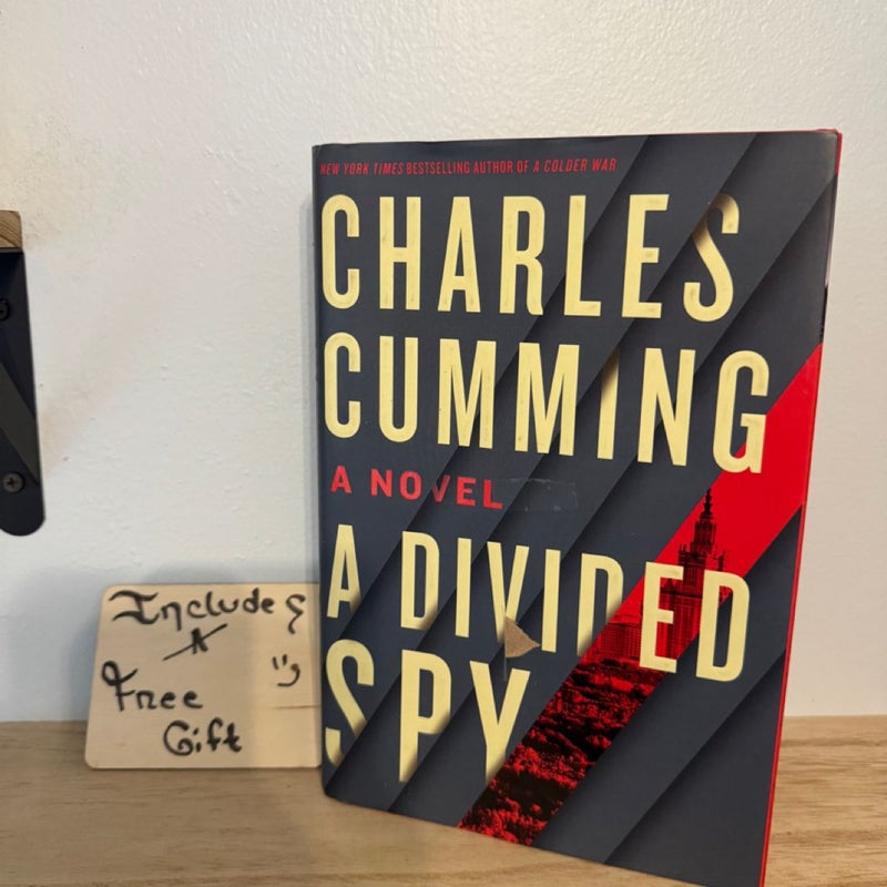 A Divided Spy