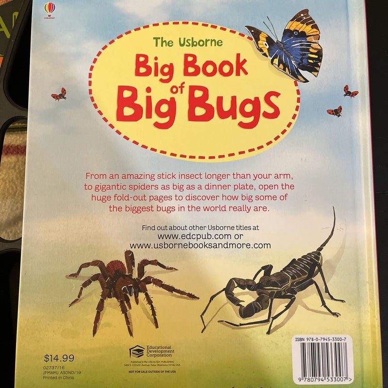 The Usborne Big Book of Big Bugs