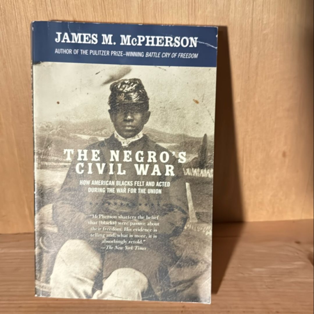 The Negro's Civil War