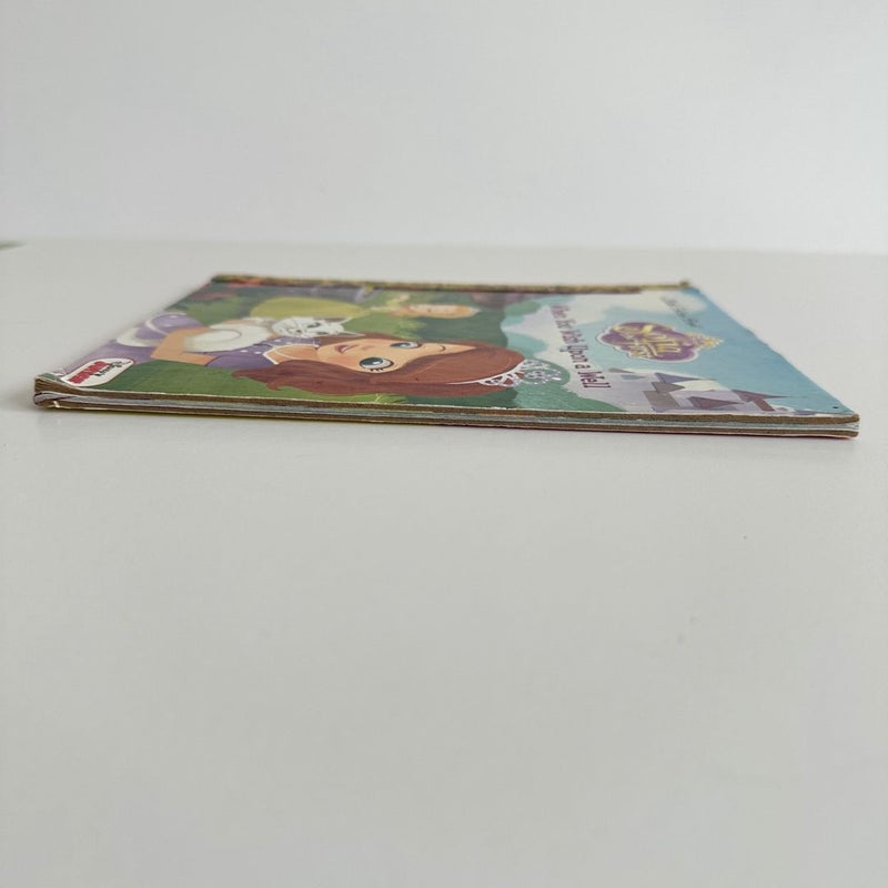 Sofia the First: When You Wish Upon a Well, Little Golden Book