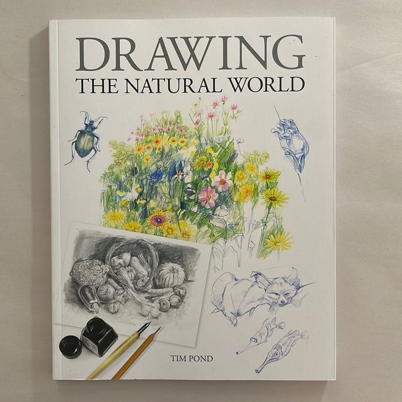 Drawing the Natural World