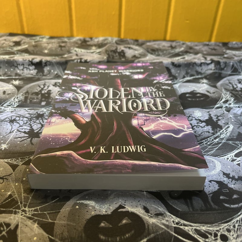 Stolen By The Warlord (Renegade Romance) 